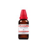Dr Willmar Thuja Occidentalis Mother Tincture Q 30ml