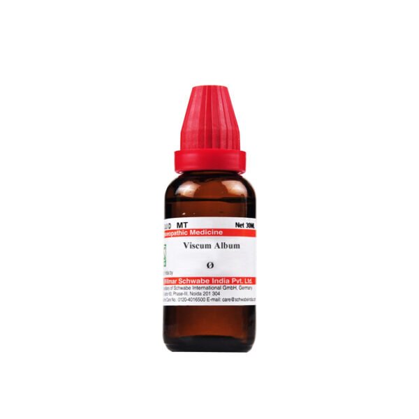 Dr Willmar Viscum Album Mother Tincture Q 30ml